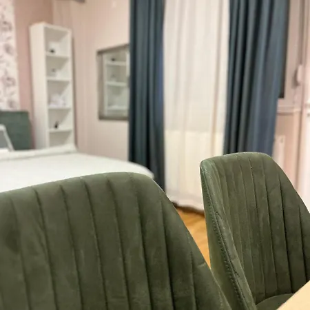 Downtown Studio - 2 Guests - Free Parking