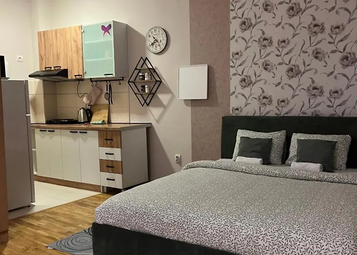 Apartamento Downtown Studio - 2 Guests - Free Parking